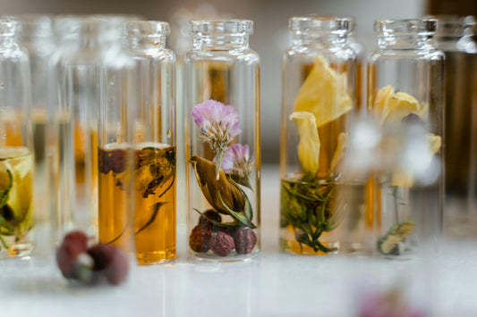 Top 5 Best Essential Oils for Beginners