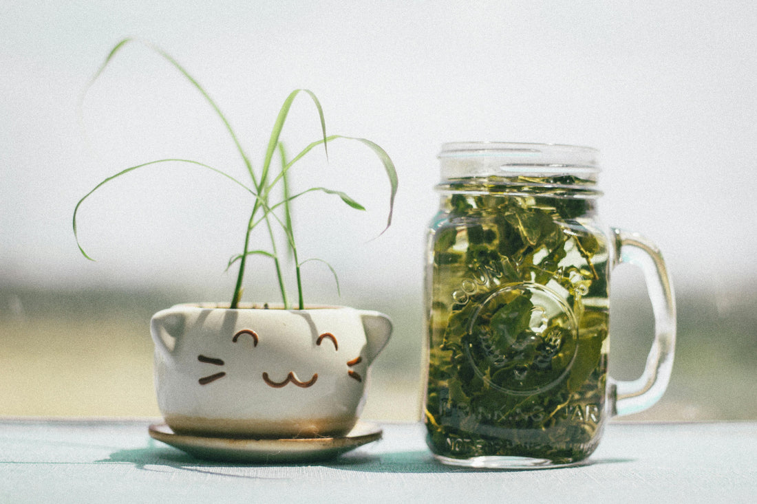 Green Tea: A Natural Secret for Youthful, Glowing Skin